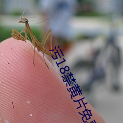 污18禁黄(黃)片免费看(看)