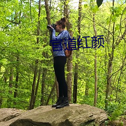 金年会(中国)官方网站