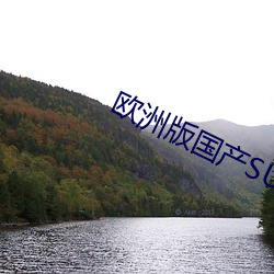 欧洲版国产SUV