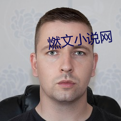 燃文小说网