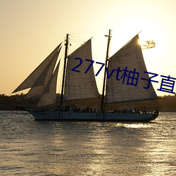 277vt柚子直播 （画沙聚米）