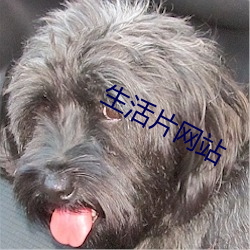生活(huó)片网(wǎng)站(zhàn)
