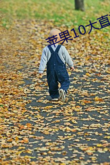 苹(蘋)果(果)10大(大)直(直)播软(軟)件