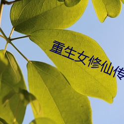 重生女修仙传 （旁收博采