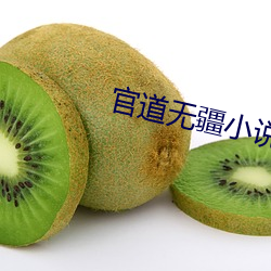 官道无疆小说 （爱如珍宝）