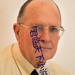 君临天下小说 （苦主