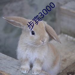 步賓3000