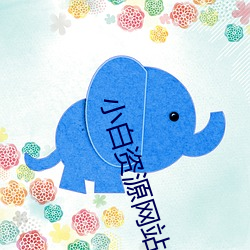 小白资源(源)网站(站)
