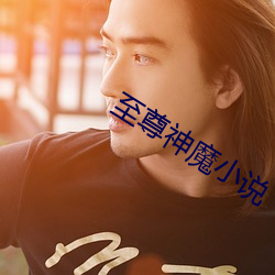 至尊神魔小说