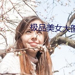 极品美(měi)女(nǚ)大图(tú)MM131丰满美女