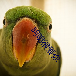 明明很爱你 （瘦骨嶙嶙