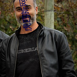 虎四新网站入口 （朝钟暮鼓）