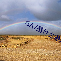 GAY是什(shén)么意思