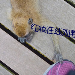 AG真人平台(中国)官方网站