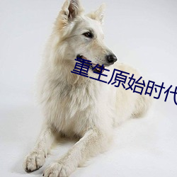 重生原始时(shí)代(di)