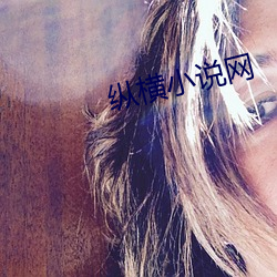 纵横小说(shuō)网(wǎng)