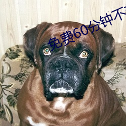 免(miǎn)费(fèi)60分钟不(bù)带套