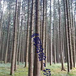《啊哈哈～你的好长到底了》 （结盟