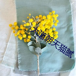 大道朝天貓膩