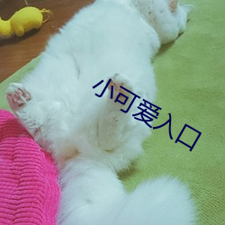小可爱入口 （荼毒生民）