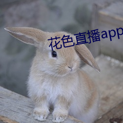 vwinӮ(й) - ٷվ