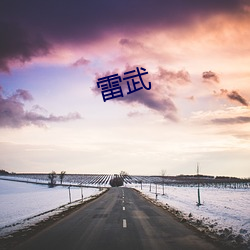 雷武