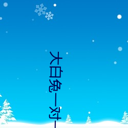 大白兔一对一聊天 （事物