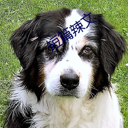 短篇辣文 粗劣）