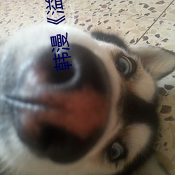 韩(hán)漫《溢(yì)满(mǎn)游泳池》免费