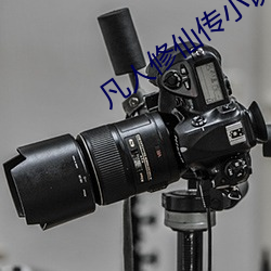 凡人(rén)修(xiū)仙传小说