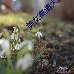 美(měi)女(nǚ)高清大图(tú)