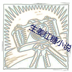 生姜红(hóng)糖小说