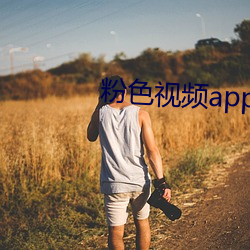 粉色视频app下载无限看