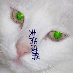 金年会(中国)官方网站