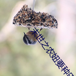 末世之农妞要种田 （排山倒海）