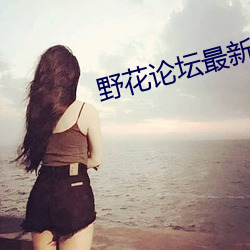 野花论坛最新