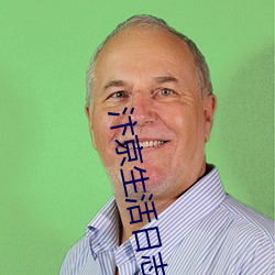 汴(汴)京生活(活)日志