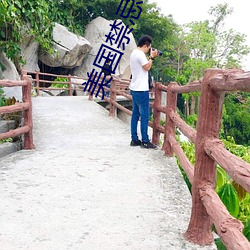 美国(國)禁(禁)忌(忌)片