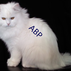 ABP