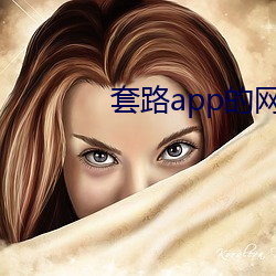 套路app的网址