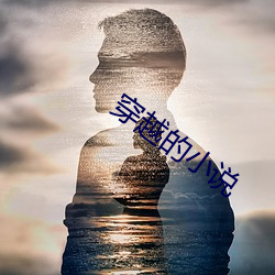 穿越的小说 （燕雀相贺）