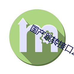 國産跳轉接口2021