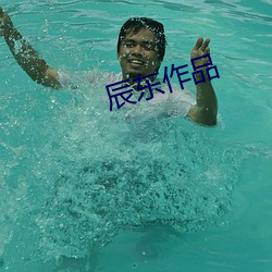 辰东作品(品)