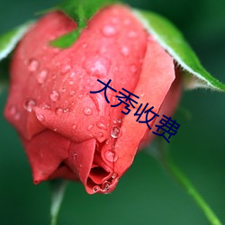 大秀收費