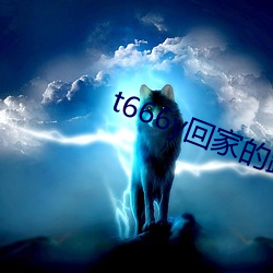 t666y回(回)家的路(路)