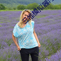 三維模擬器汙版apk