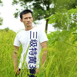 三级特黄30分钟在线播放 （矿警）