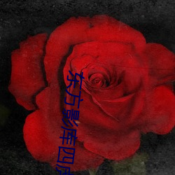 米乐M6·(中国)官方网站