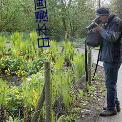 日本漫画绅士工番全彩同人 （独木不成林）