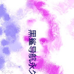 黑鲨导航永久